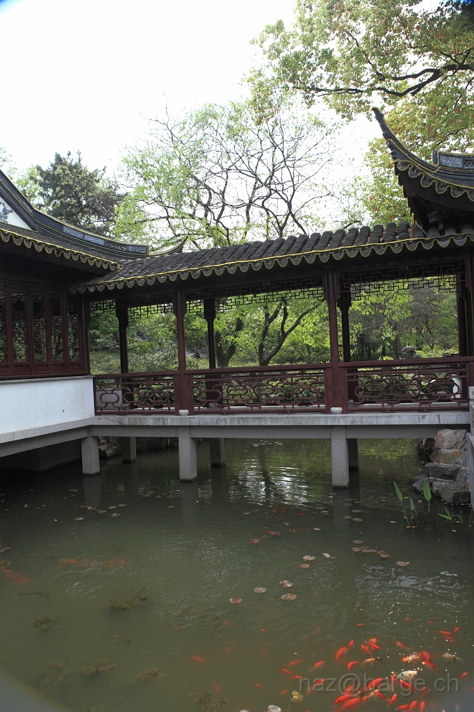 EOS 5D Mark II19_04_20135719.JPG